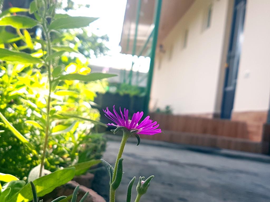 Guest House Villa 크바렐리 외부 사진